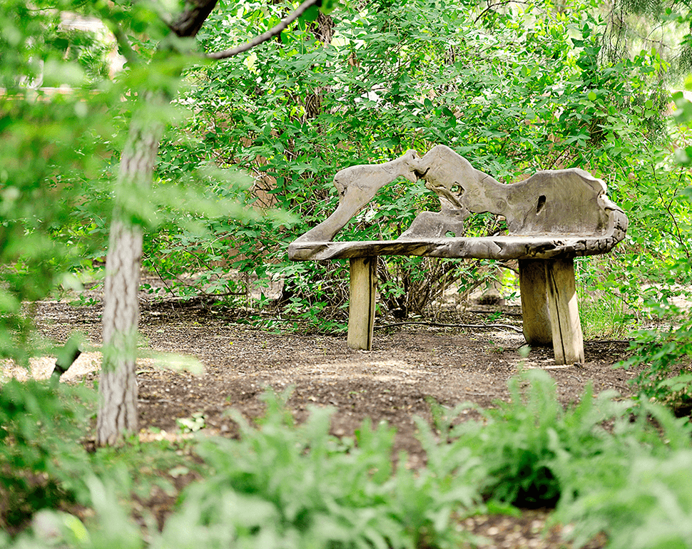 Bench in Outdoor Garden Area